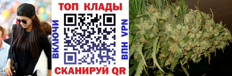 Где купить Сальск СК MEGA ССЫЛКА ГАШ Конопля COCAIN Мефедрон