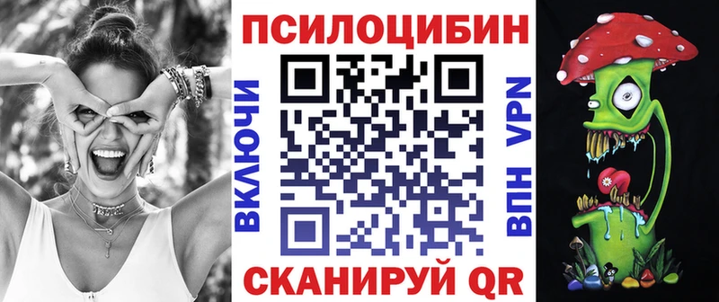 как найти   Сальск  Галлюциногенные грибы мицелий 